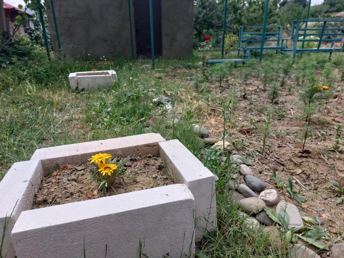 Green House In Vazisubani Tbilisi Ngoại thất bức ảnh